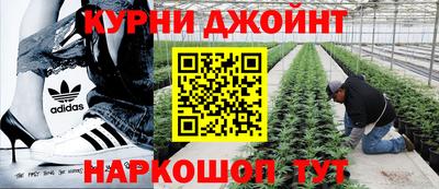 прущая мука Краснознаменск