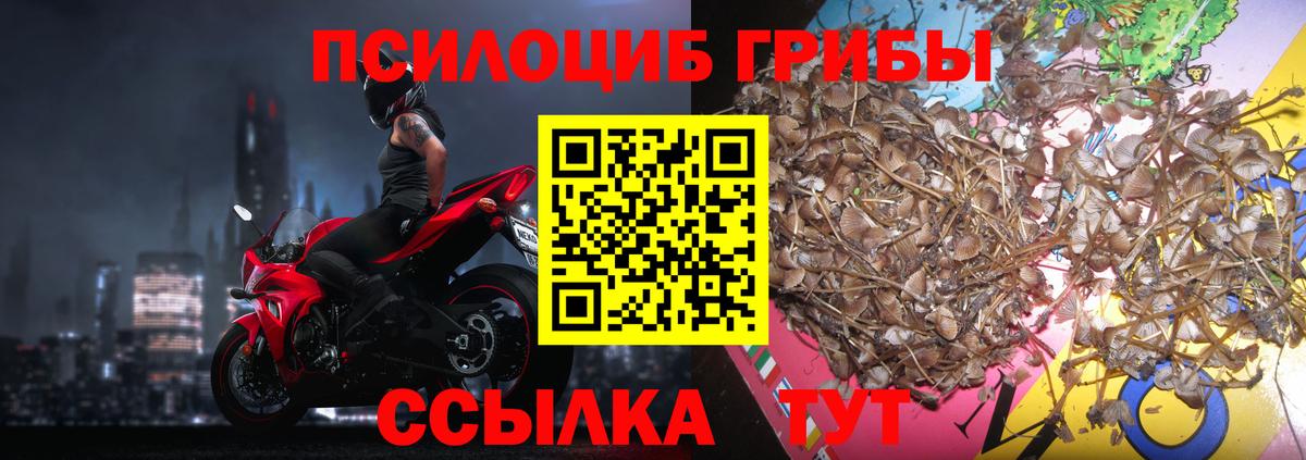 Галлюциногенные грибы прущие грибы Йошкар-Ола